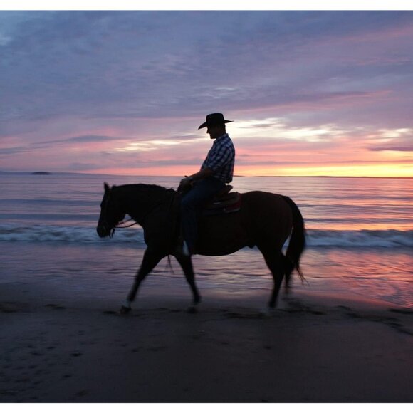 🆕 Men Black Cowboy Hat Western Felt Fedora Chapeau Halloween Costume Belt Wicks - Picture 2 of 6